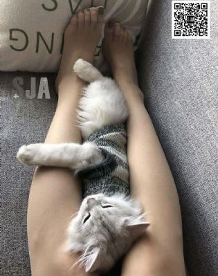 毒液2免费版在线观看
