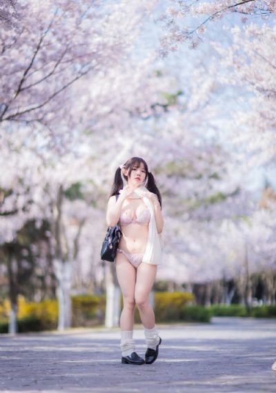 我的xl司樱花第三季预告