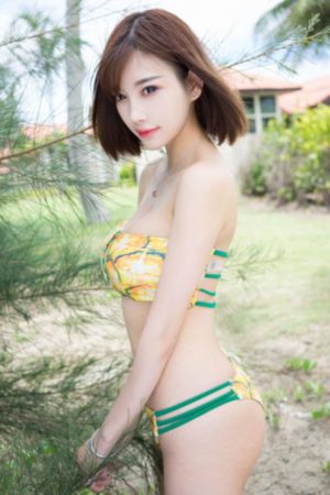 铁齿铜牙纪晓岚全集完整版