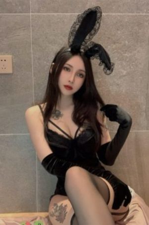 绿蔷薇 电视剧