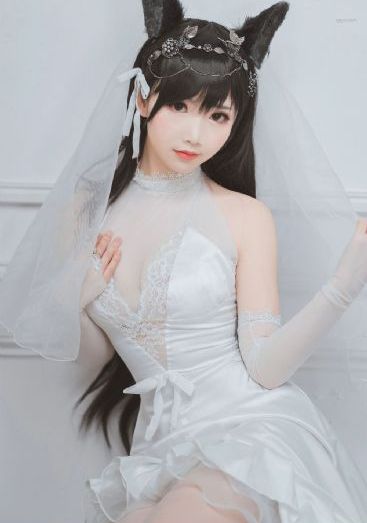 猪蜜蜜