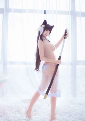 法国小野猫