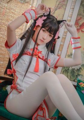 嫂子的职业全集